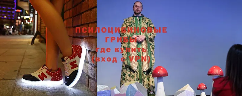 Галлюциногенные грибы Magic Shrooms  OMG рабочий сайт  Кизилюрт 